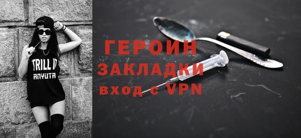 индика Няндома