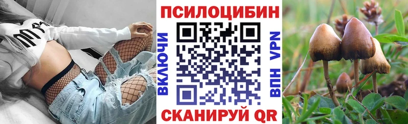 купить наркотики сайты  Среднеуральск  Галлюциногенные грибы мицелий 